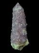 Dark Cactus Quartz (Amethyst) Crystal - South Africa #64225-1